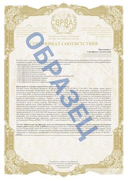 Образец Приложение к СТО 01.064.00220722.2-2020 Беслан Сертификат СТО 01.064.00220722.2-2020 